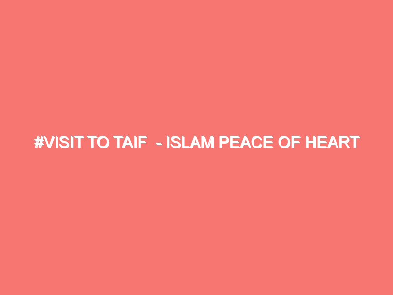 visit to taif islam peace of heart 5475
